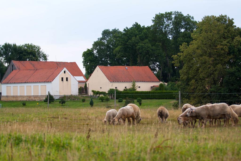 Hotel Stein