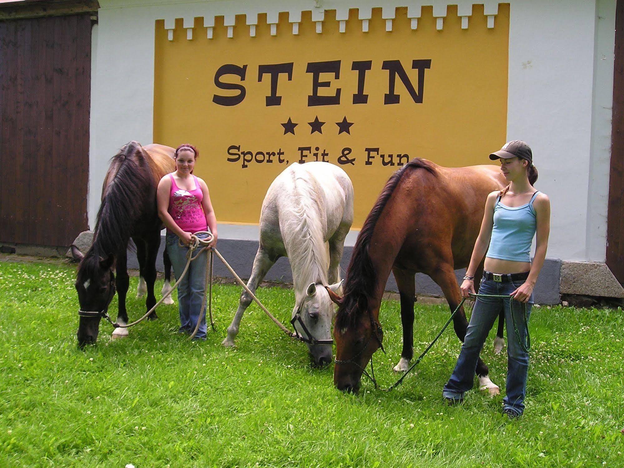 Hotel Stein 3*